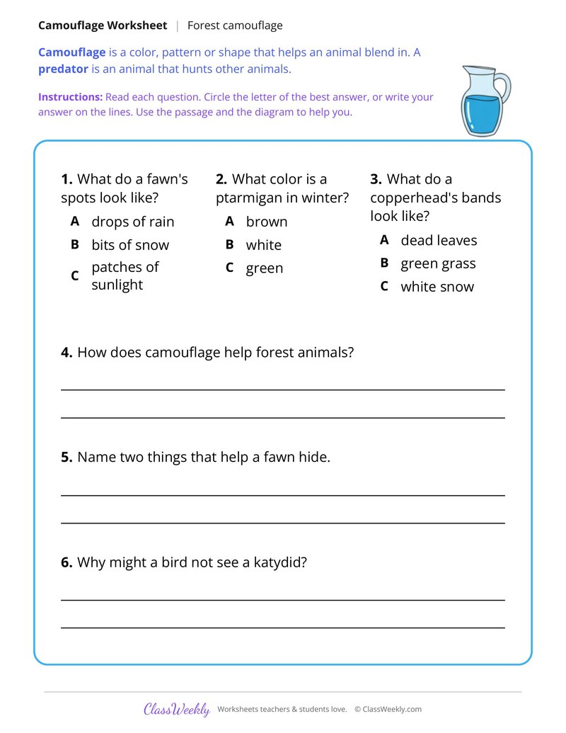 Camouflage in the Forest, Read and Answer - Page 2