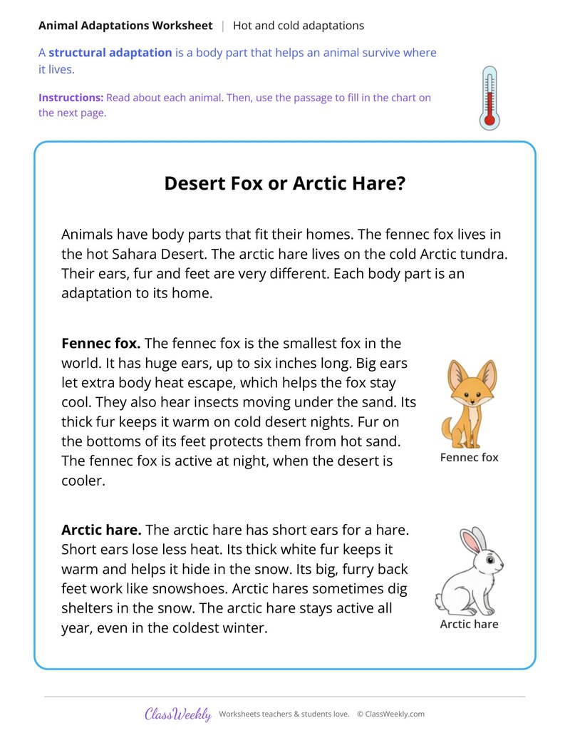 Desert Fox or Arctic Hare? Read and Compare Adaptations - Page 1