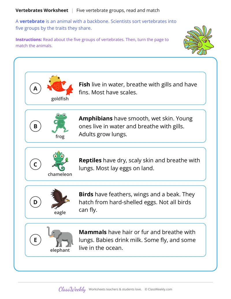 Five Vertebrate Groups, Read and Match - Page 1