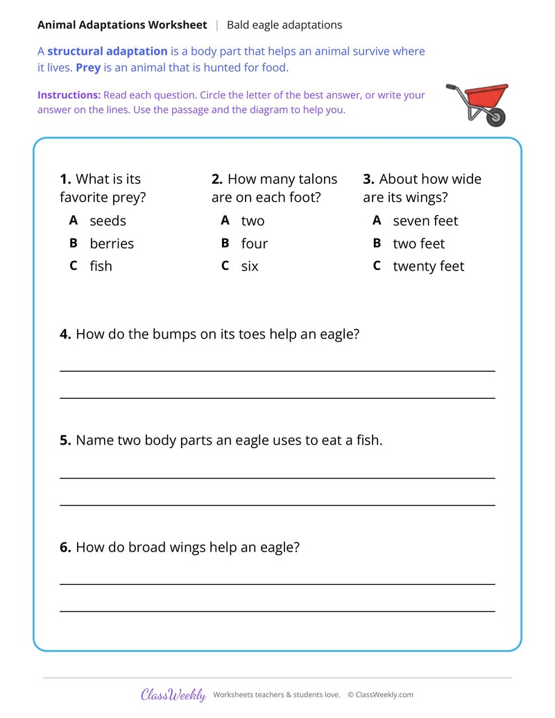 How a Bald Eagle Hunts, Read and Answer - Page 2