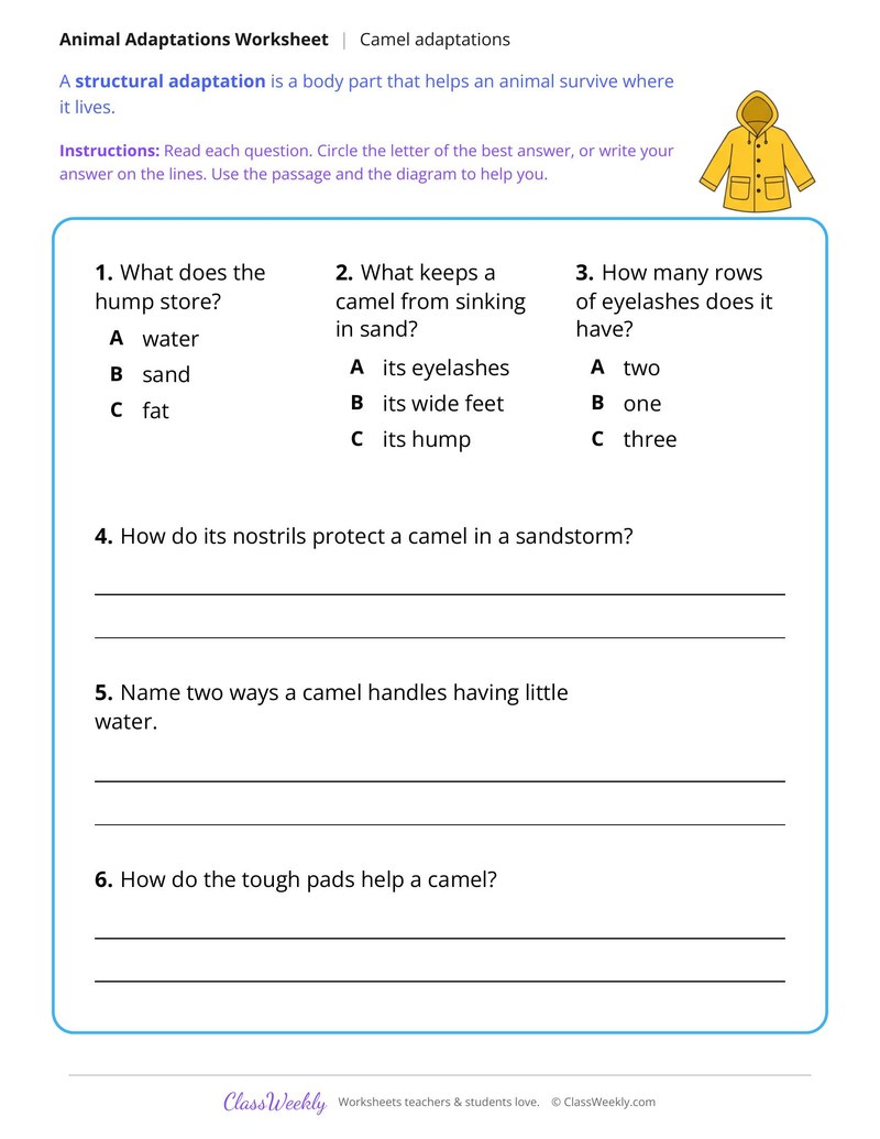 How a Camel Survives in the Desert, Read and Answer - Page 2