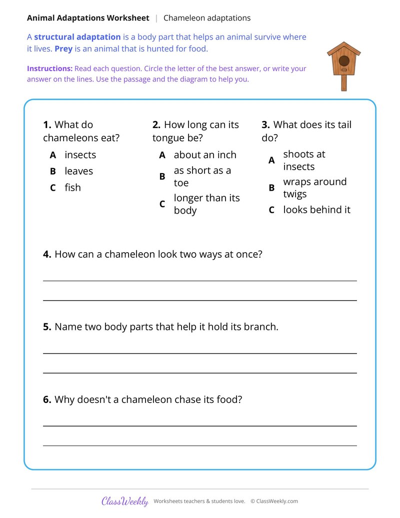 How a Chameleon Catches Insects, Read and Answer - Page 2