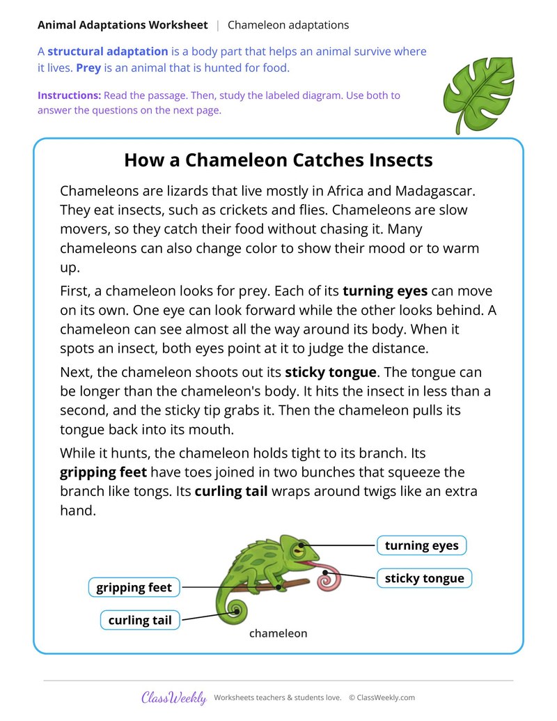 How a Chameleon Catches Insects, Read and Answer - Page 1