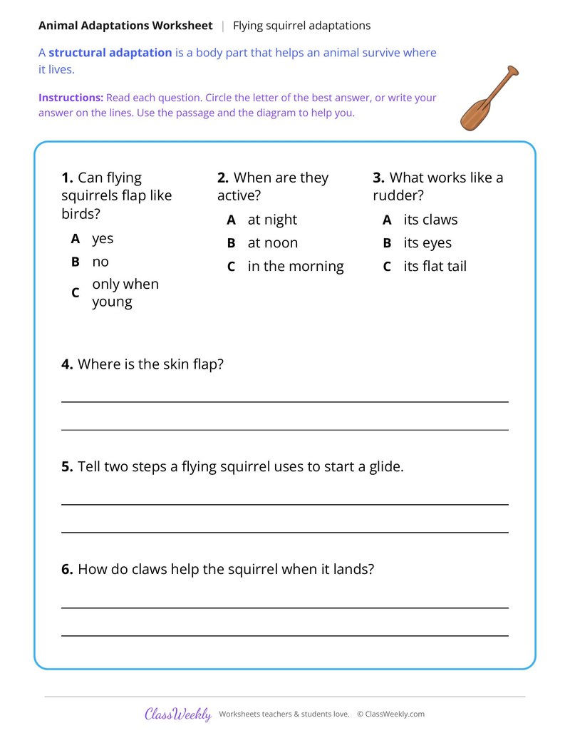 How a Flying Squirrel Glides, Read and Answer - Page 2