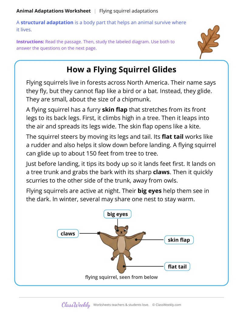 How a Flying Squirrel Glides, Read and Answer - Page 1