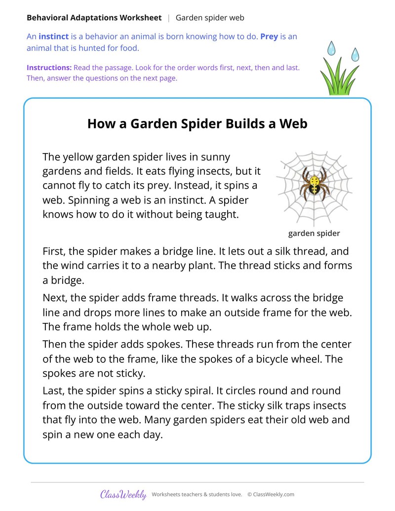 How a Garden Spider Builds a Web, Read and Answer - Page 1