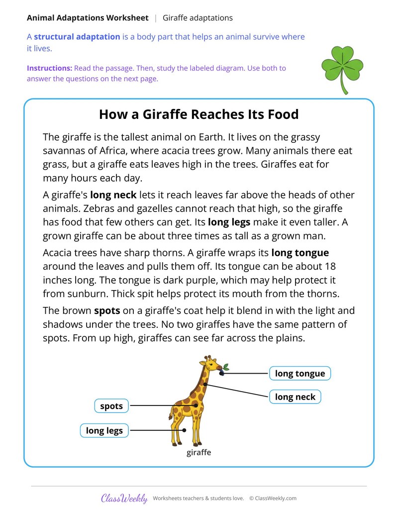 How a Giraffe Reaches Its Food, Read and Answer - Page 1