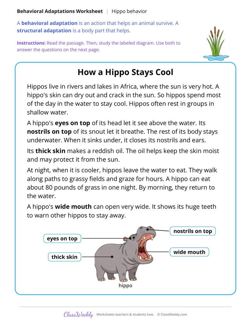 How a Hippo Stays Cool, Read and Answer - Page 1