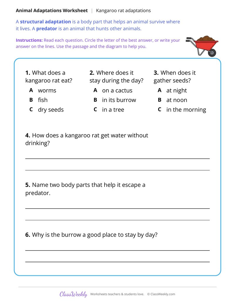 How a Kangaroo Rat Lives Without Drinking, Read and Answer - Page 2