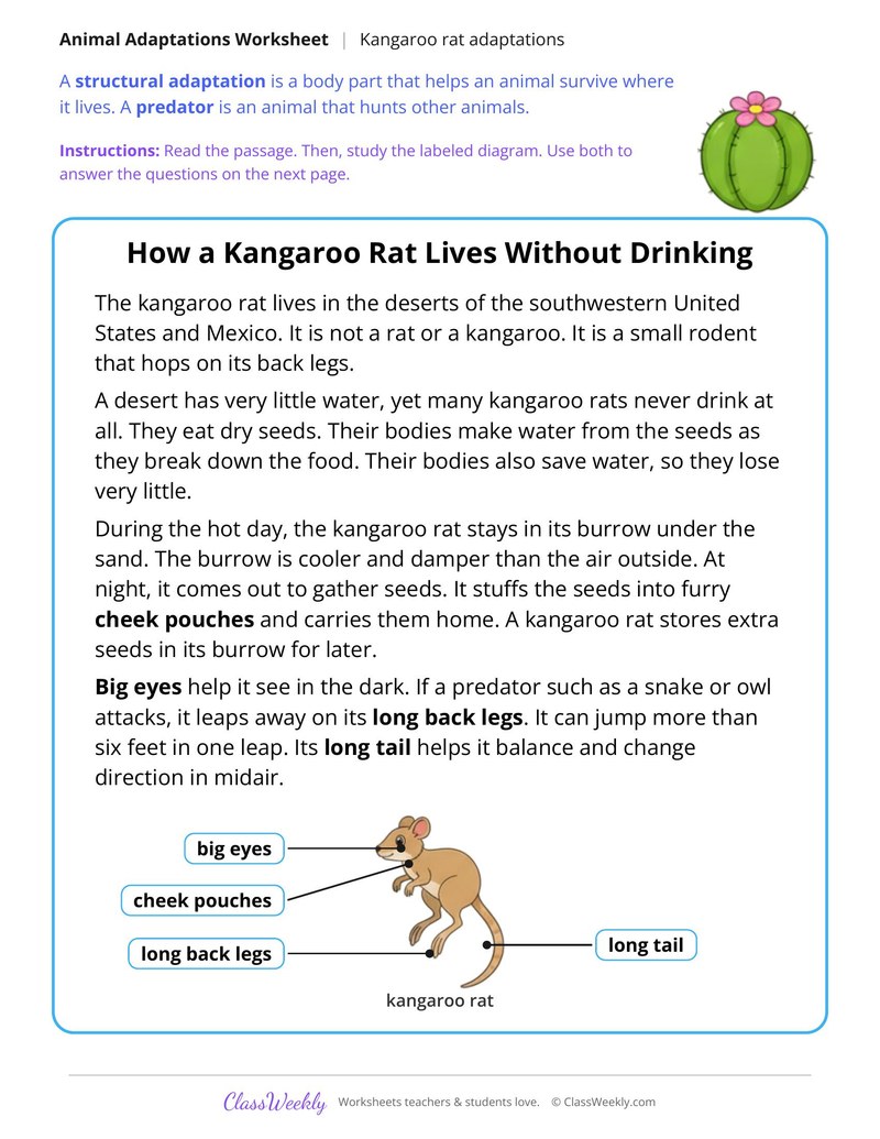 How a Kangaroo Rat Lives Without Drinking, Read and Answer - Page 1