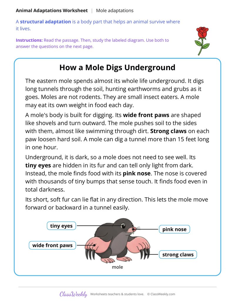 How a Mole Digs Underground, Read and Answer - Page 1