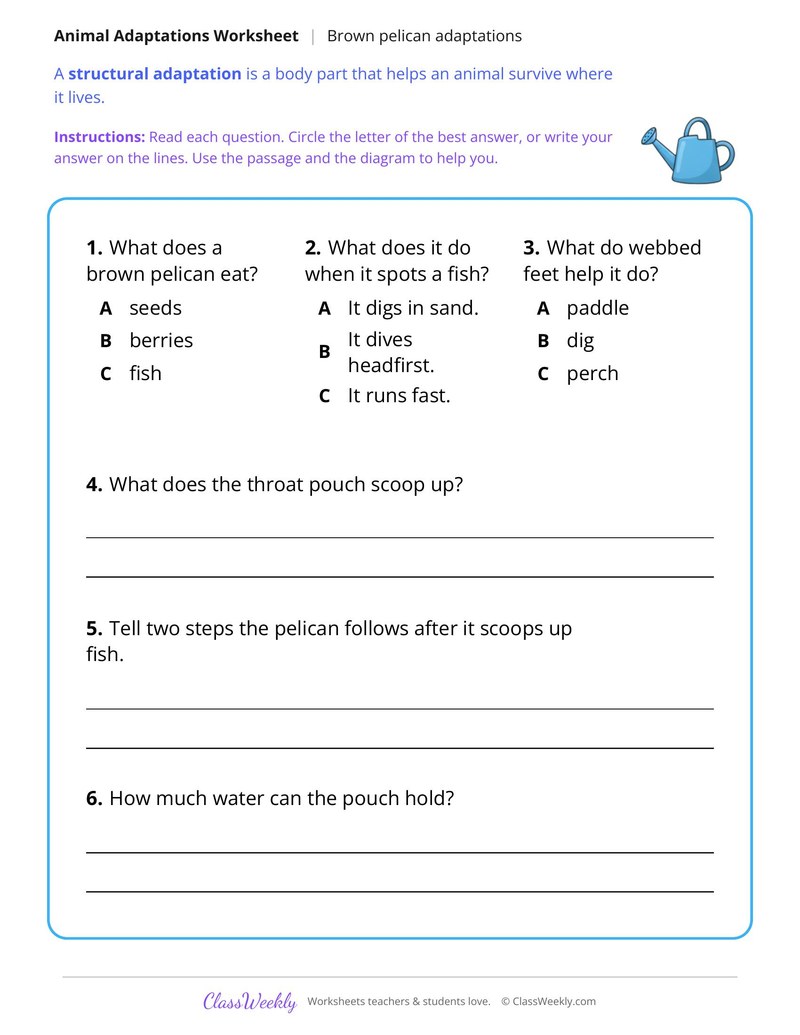 How a Pelican Catches Fish, Read and Answer - Page 2