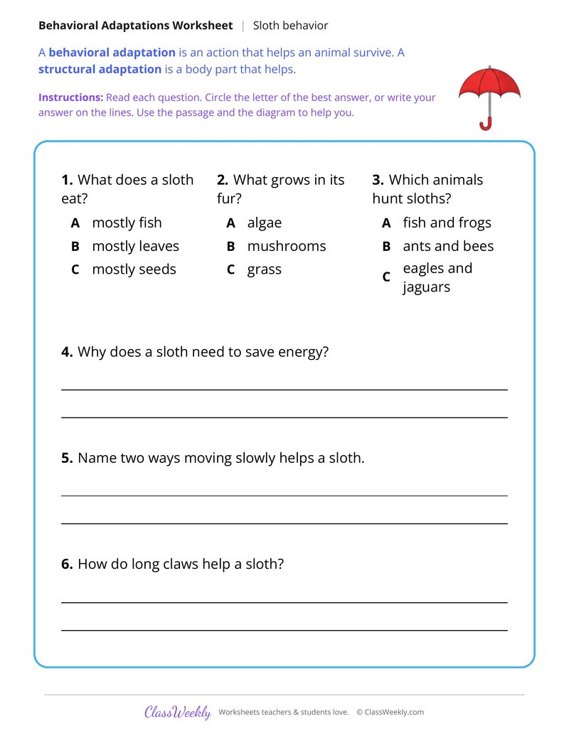 How a Sloth Saves Energy, Read and Answer - Page 2