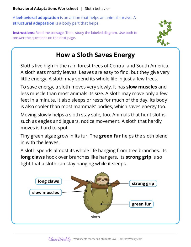 How a Sloth Saves Energy, Read and Answer - Page 1