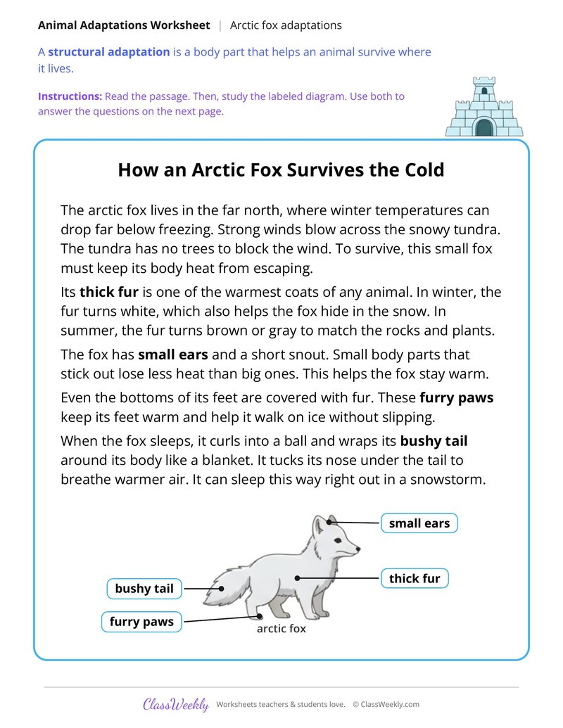 How an Arctic Fox Survives the Cold, Read and Answer - Page 1