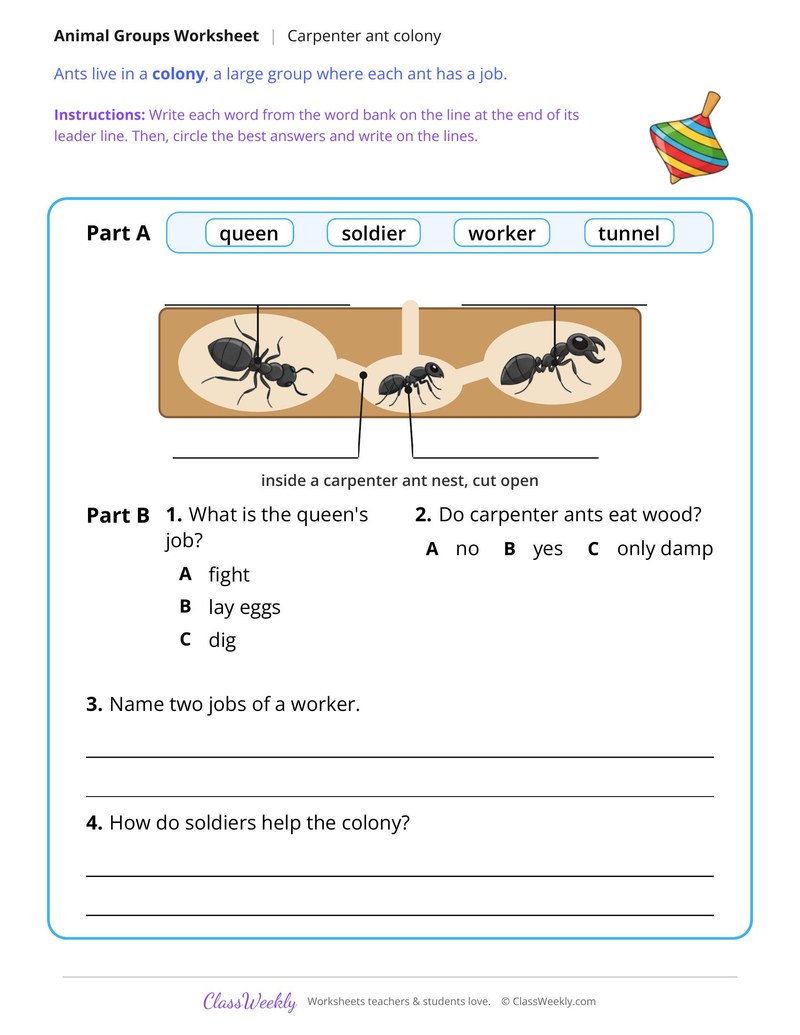 How Ants Work Together in a Colony, Read and Answer - Page 2