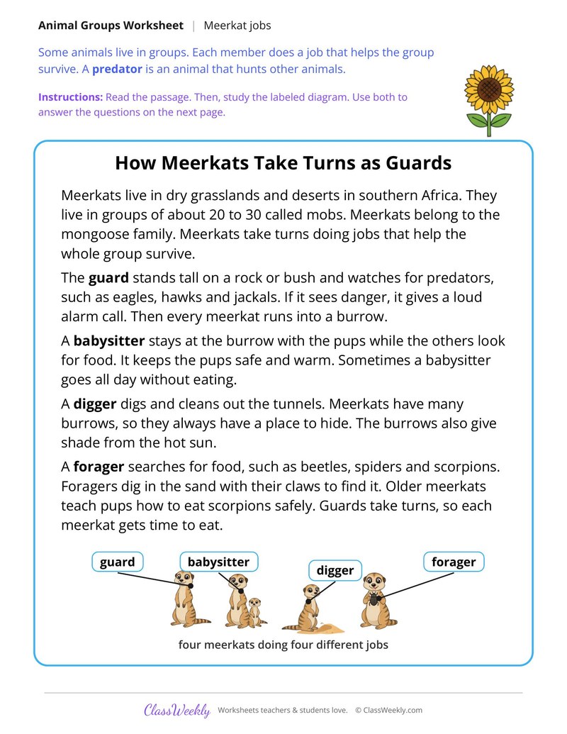 How Meerkats Take Turns as Guards, Read and Answer - Page 1