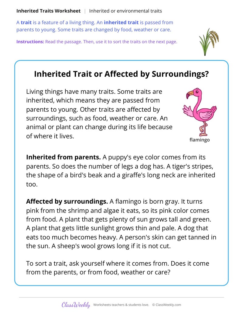 Inherited Trait or Affected by Surroundings? Read and Sort - Page 1
