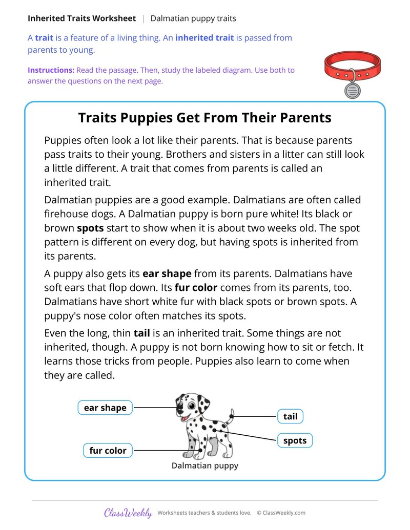 Traits Puppies Get From Their Parents, Read and Answer - Page 1