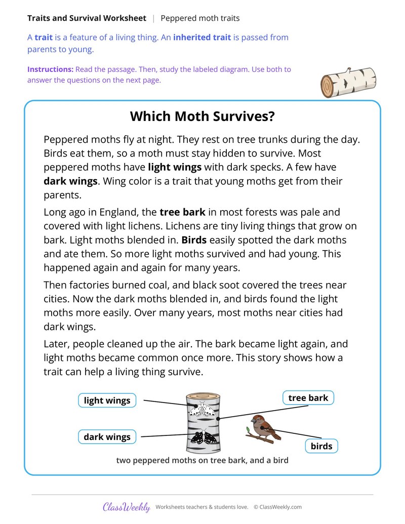 Which Moth Survives? Traits and Survival, Read and Answer - Page 1