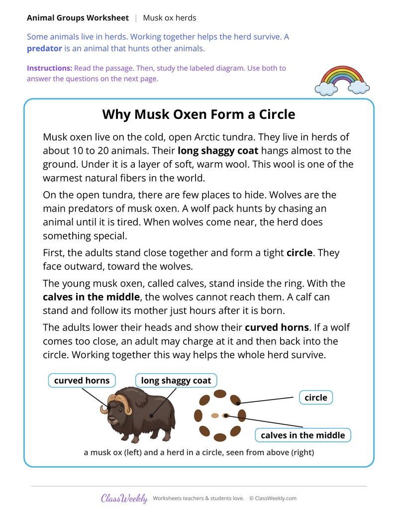 Why Musk Oxen Form a Circle, Read and Answer - Page 1