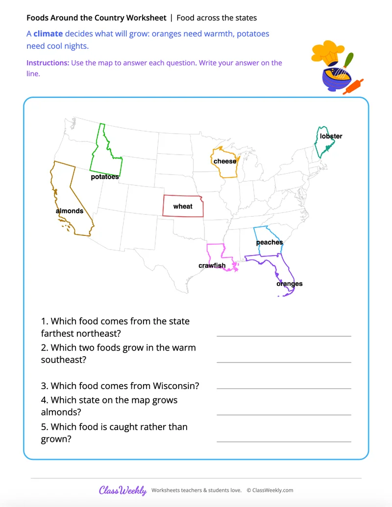 Food across the states