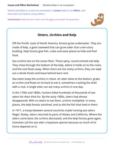 Cause and Effect in a Text About Sea Otters and Kelp Forests