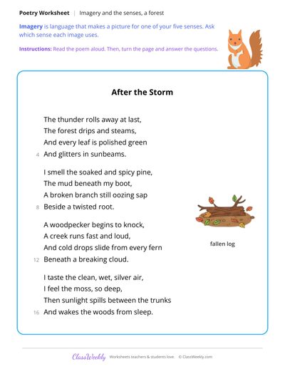Find the Imagery in a Poem About a Forest