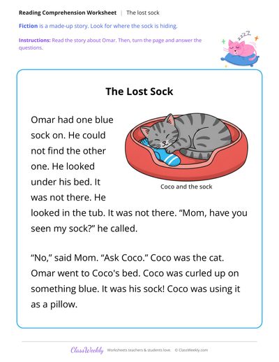 The Lost Sock (Short Read)