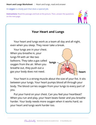 Heart and Lungs, Read and Answer
