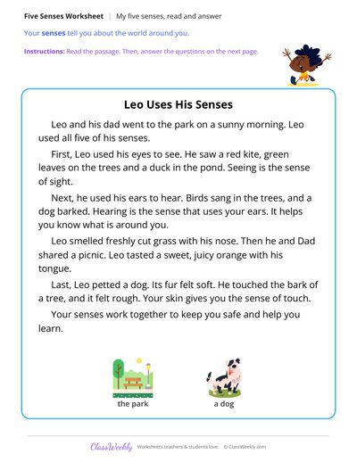 My Five Senses, Read and Answer