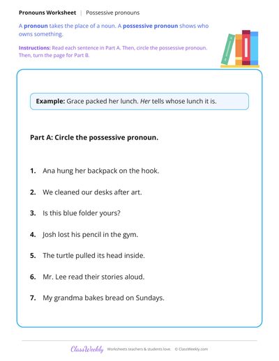 Possessive Pronouns in Sentences