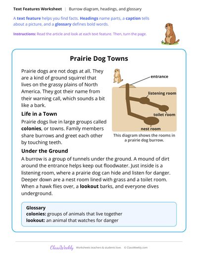 Text Features in an Article About Prairie Dog Towns
