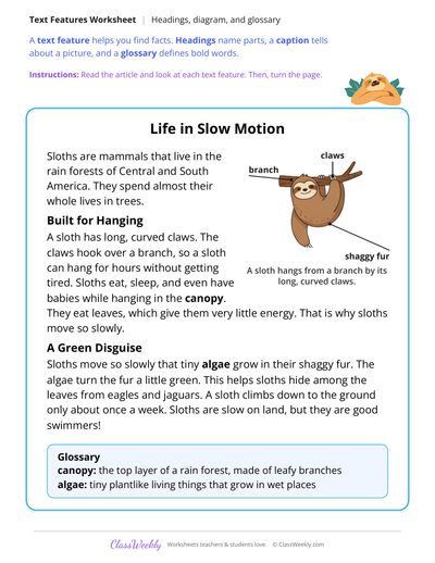 Text Features in an Article About Sloths