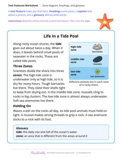 Text Features in an Article About Tide Pools