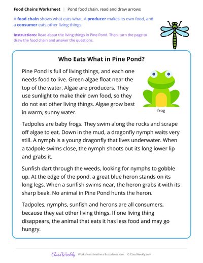 Pond Food Chain, Read and Draw Arrows